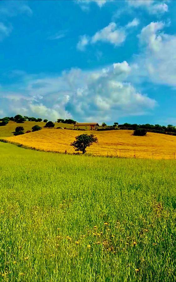 San Leonardo Country House Calangianus 외부 사진
